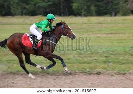 Medvedev, Russia, August 26, 2017: Open Championship On Horse Racing And Jumping Dedicated To The Da