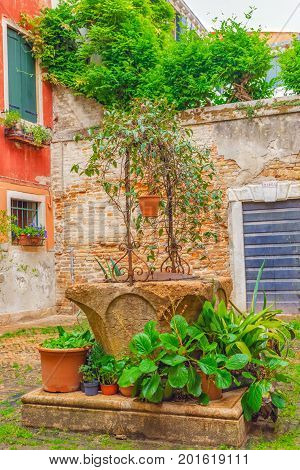Views On Courtyard Patio In The Most Beautiful City In The Word - Venice, Narrow Streets, House, Pal