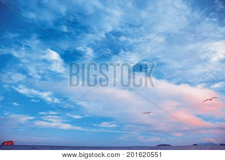 a beach on the sea, sand and waves, seagulls fly over the water. Sunset