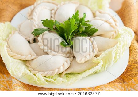 Frozen Dumplings On The White Plate With Green