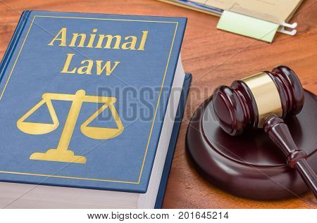 A Law Book With A Gavel - Animal Law