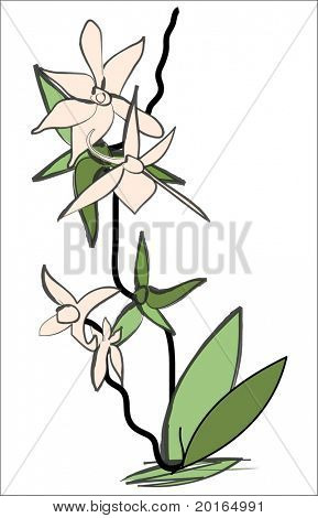 orchidej ručně tažené 2 2