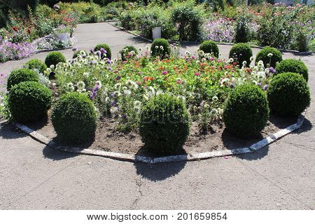 Beautiful garden in the country in Ukraine