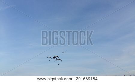 para-gliders far blue sky freedom Kaunas picnic