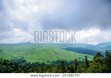 Landscape of subalpine mountain meadow and forest in Caucasus, Russia