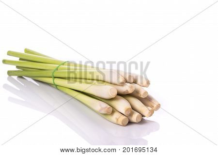 Fresh Lemongrass Or Citronella Grass Leaf. Studio Shot Isolated On White
