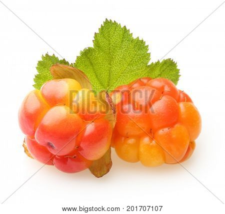 Cloudberry Berry isolated on white background