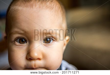 sincere gaze of a young boy who looks up to dad and mom