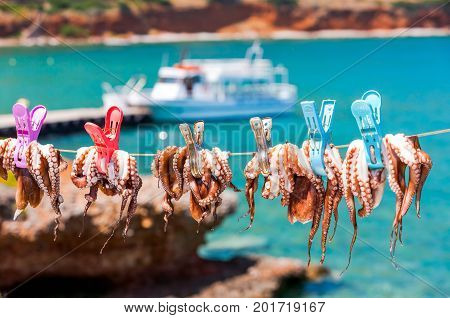 Drying The Octopus In The Sun In The Seaside Village Of Plaka On The Island Of Crete