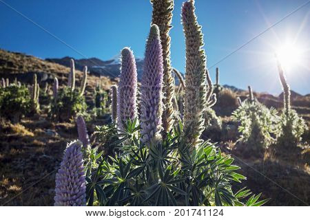 Beautiful mountains landscapes in Cordillera Huayhuash, Peru, South America