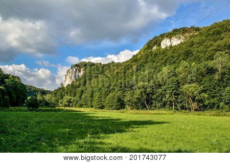Sunny summer landscape. Beautiful green Jurassic valley in Poland.