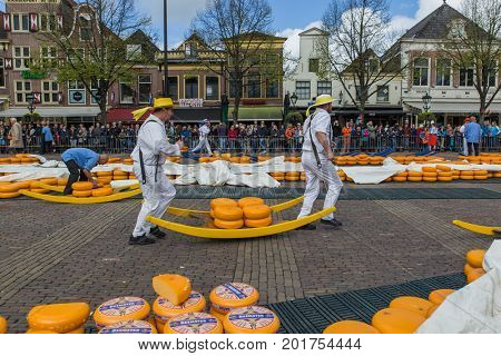 Alkmaar, Netherlands - April 28, 2017: Cheese carriers at traditional cheese market.