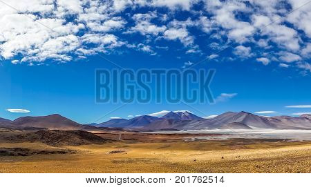 View on Altiplano Lagoon Salar de Talar in Chile by San Pedro de Atacama