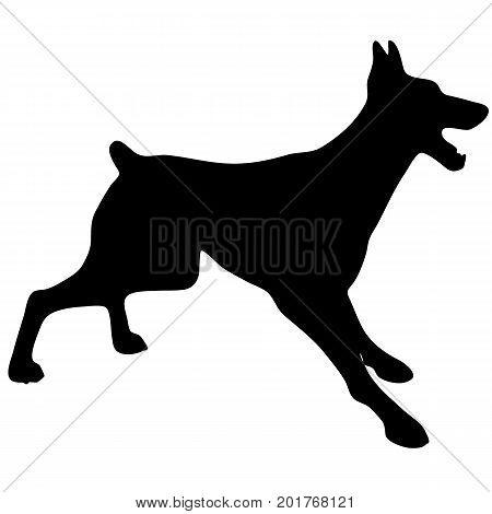 Silhouette of a dog.Vector illustration of doberman pinscher. Bloodhound