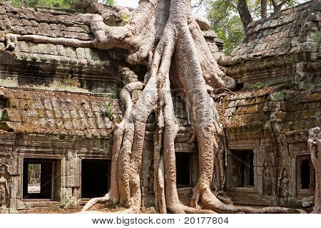 Ta Phrom Templo