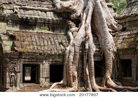 Ta Phrom Templo