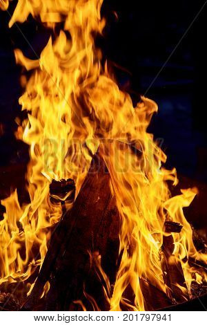 Closeup of firewood burning in fire Night fire