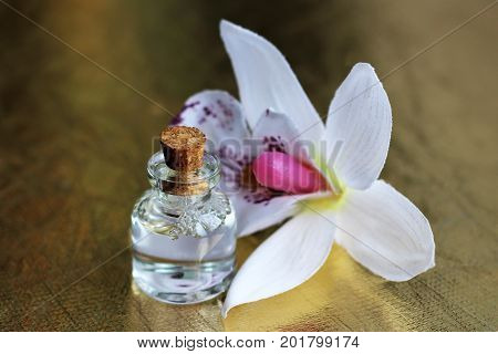 Bottle Of Essential Oil And Orchid Flowers
