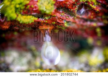 Background, Macro. Surface Of Stone, Lichens And Water Drops