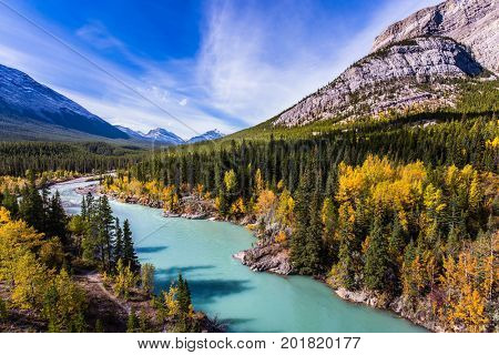 Abraham Lake is the most beautiful lake in the Rockies. Dense forests cover the lake shores. Warm sunny day in autumn. The concept of ecological and active tourism