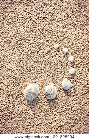 Curve of clam mollusc shells set on beach sand. Van Hyning's Cockle. Outdoors summertime close-up vertical image with filter.