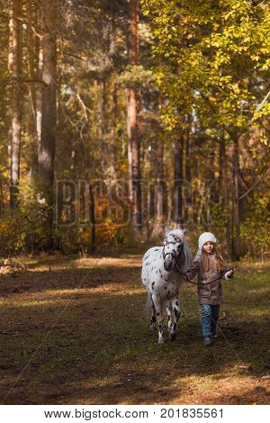 Little Cute Girl Walking With A Pony In The Autumn Forest