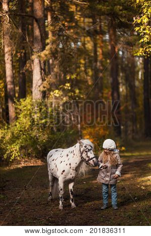 Little Cute Girl Walking With A Pony In The Autumn Forest