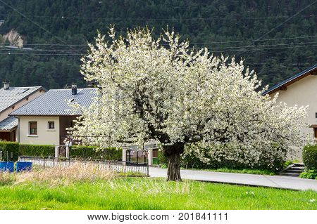 Town of Avrieux in Alps the highest and most extensive mountain range system that lies entirely in Europe
