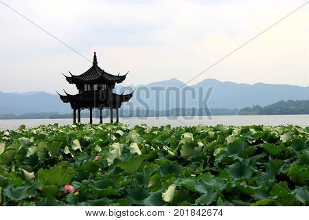Beihai Park Scenery With Pavilion And Lotus In Summer In Beijing,china