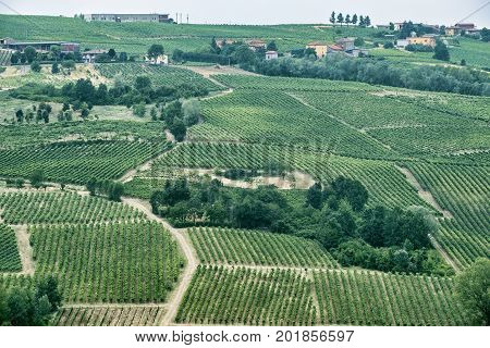 Rural landscape at summertime along the road from Vicobarone (Piacenza Emilia Romagna Italy) to Santa Maria della Versa (Pavia Lombardy) in the Tidone valley. Vineyards.