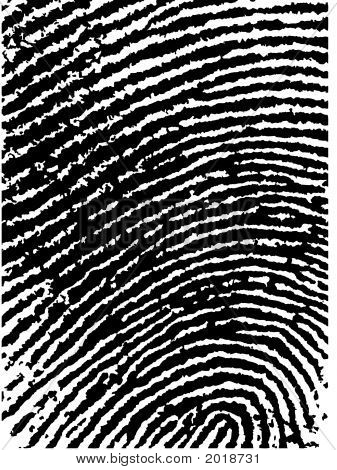 指纹识别作物 6-低聚计数