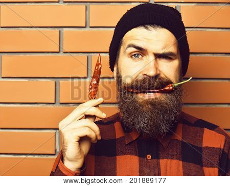 Bearded Man, Brutal Caucasian Serious Hipster With Red Pepper