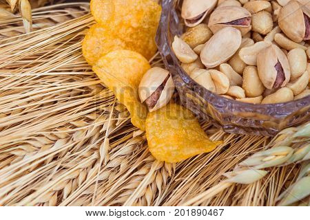 Pistachio nuts, peanuts and potato chips a snack for beer lying in a glass dish surrounded by ingredients for making malt for beer, bread. Spikes of wheat, barley, oats, rye.
