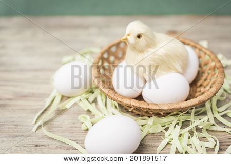 Chick Sits On Eggs In A Wicker Basket,