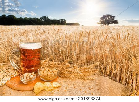 Beer and snacks on the background wheat field. A big glass of beer on the table against wheat field during summer sunset. Light beer in glass and snacks with a summer landscape on the background.