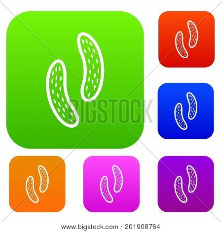 Epithelial cell set icon in different colors isolated vector illustration. Premium collection