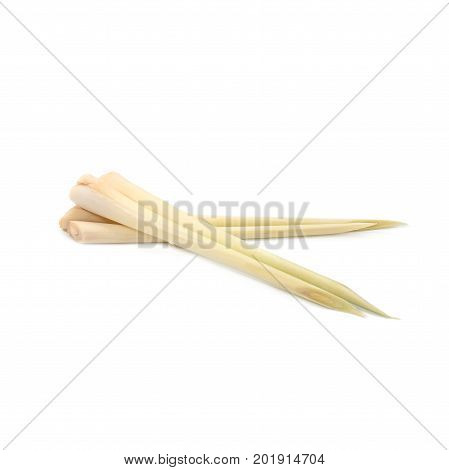 Ingredent And Herb Food : Fresh Lemongrass Isolate On White Background