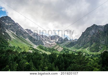 Amazing nature view of green mountain forest and tree growing on a rock, natural landscape perspective, Caucasus, Russia.