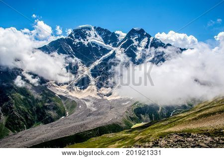 Amazing nature view of green mountain forest and tree growing on a rock, natural landscape perspective, Caucasus, Russia.