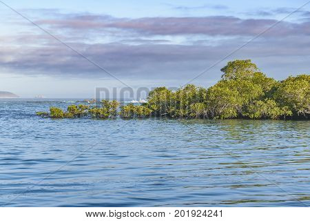 Seascape At Isabela Island, Galapagos, Ecuador