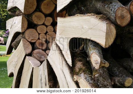 Wood monument in the park in Switzerland