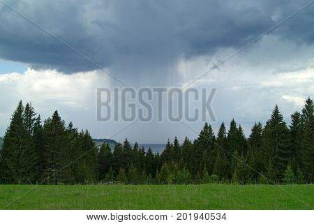 Spring forest glade on top of a hill with rain coming over the river from a thundercloud in the background
