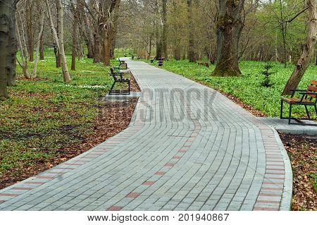 path in the Park sidewalk for walking in the Botanical garden the benches on the walk