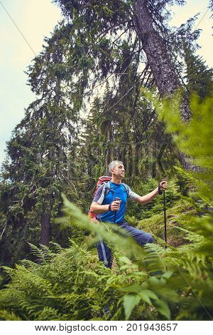 Hiking in the mountains with a backpack in the summer.