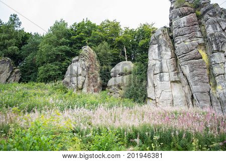 Externsteine in the footpath in the Teutoburger wood North Rhine-Westphalia