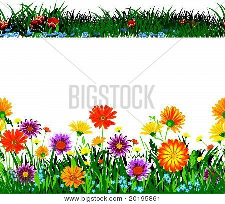 bloemen