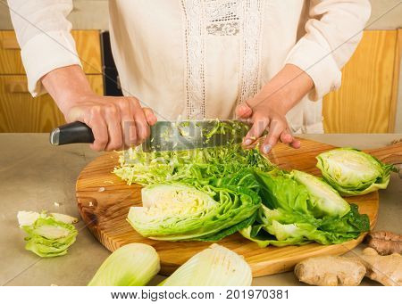 Chopped cabbage to permented preserved vegetables. Cabbage kimchi and sauerkraut sour cabbage.