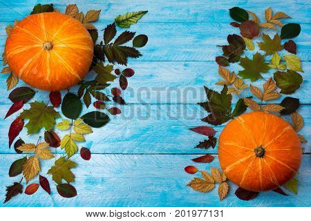 Thanksgiving greeting with pumpkin and autumn leaves on blue wood. Fall background with seasonal vegetables and leaves