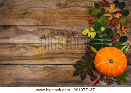 Thanksgiving  Background With Leaves And Squash On Old Table