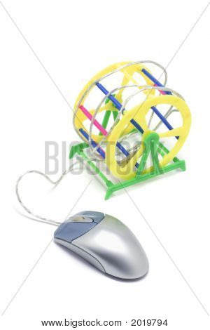 Huisdier oefening wielen met computermuis